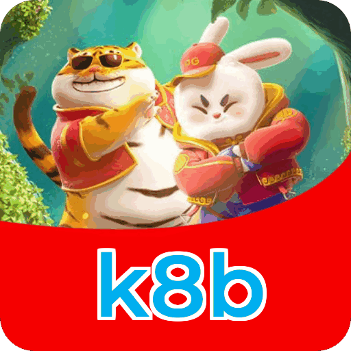 k8b VIP — segmentação e política de privacidade da plataforma